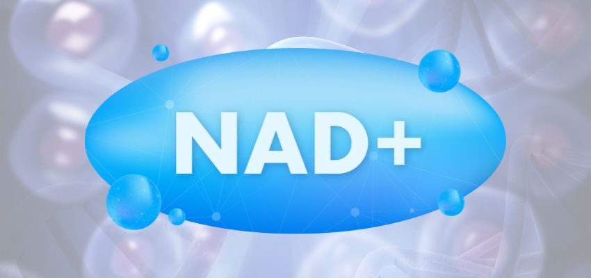 NAD+ is essential for numerous cellular processes, such as energy production, DNA repair, and cell signaling.