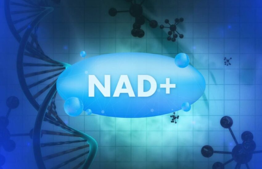 Nicotinamide adenine dinucleotide (NAD) is a crucial cofactor. It plays a key task in several biochemical processes in the body.