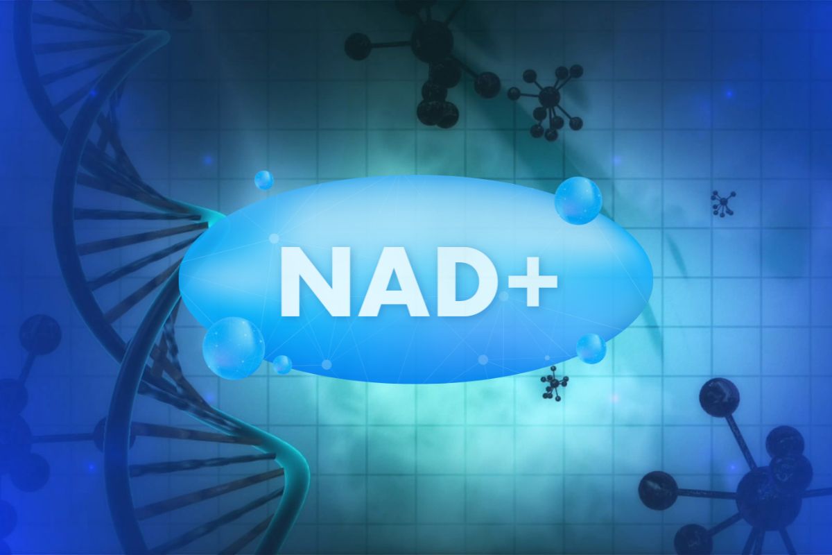 Nicotinamide adenine dinucleotide (NAD) is a crucial cofactor. It plays a key task in several biochemical processes in the body.