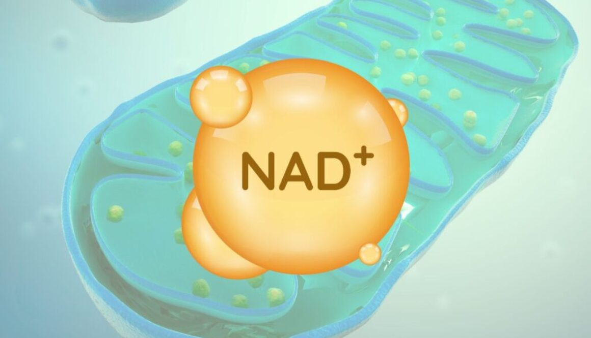 NAD+ (nicotinamide adenine dinucleotide) is a crucial molecule found in all living cells. It functions as a coenzyme that enhances the efficiency of enzymes.
